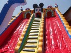 Mickey slide
