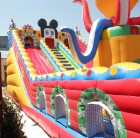 Mickey slide